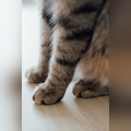 576