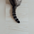 577