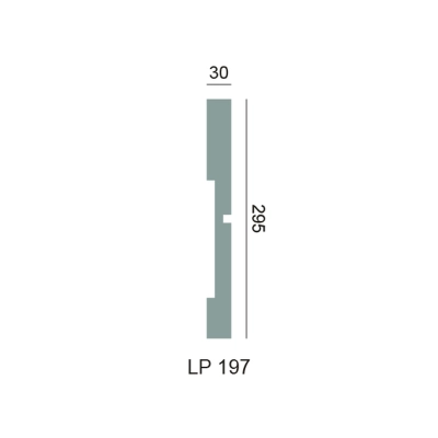 LP 197 przekroj-100.jpg