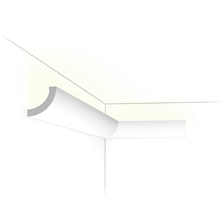 C362_IL TRANS.webp