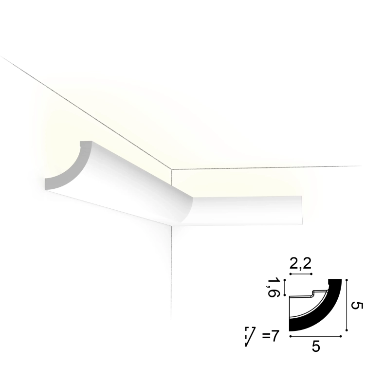 C362_IL TRANS-2.webp