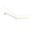 CX189_IL TRANS.webp
