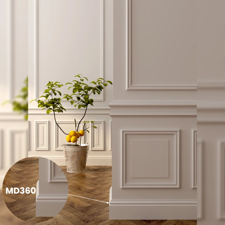 md360-1.webp
